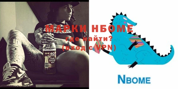 мдпв Инта