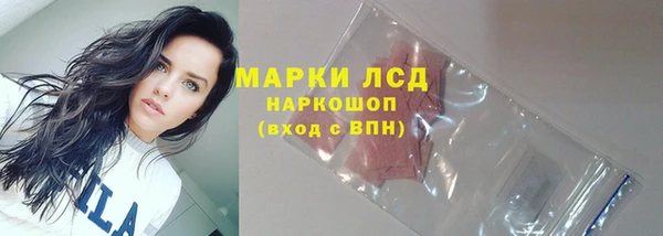 мдпв Инта