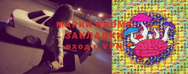прущая мука Инсар
