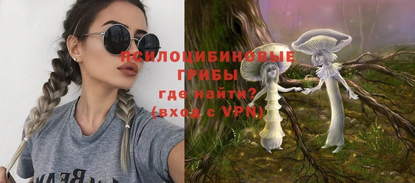 мдпв Инта