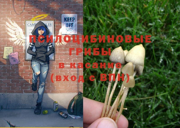 прущая мука Инсар