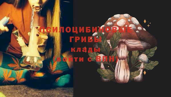 мдпв Инта