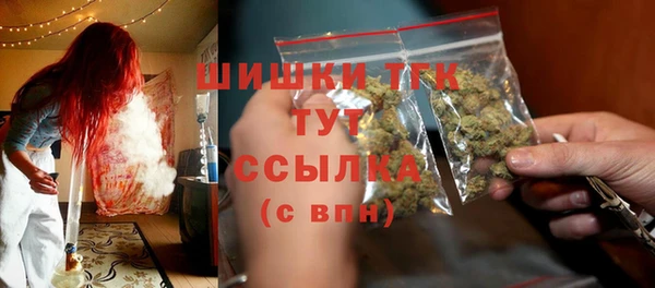 прущая мука Инсар