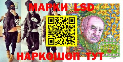 MDMA Гатчина