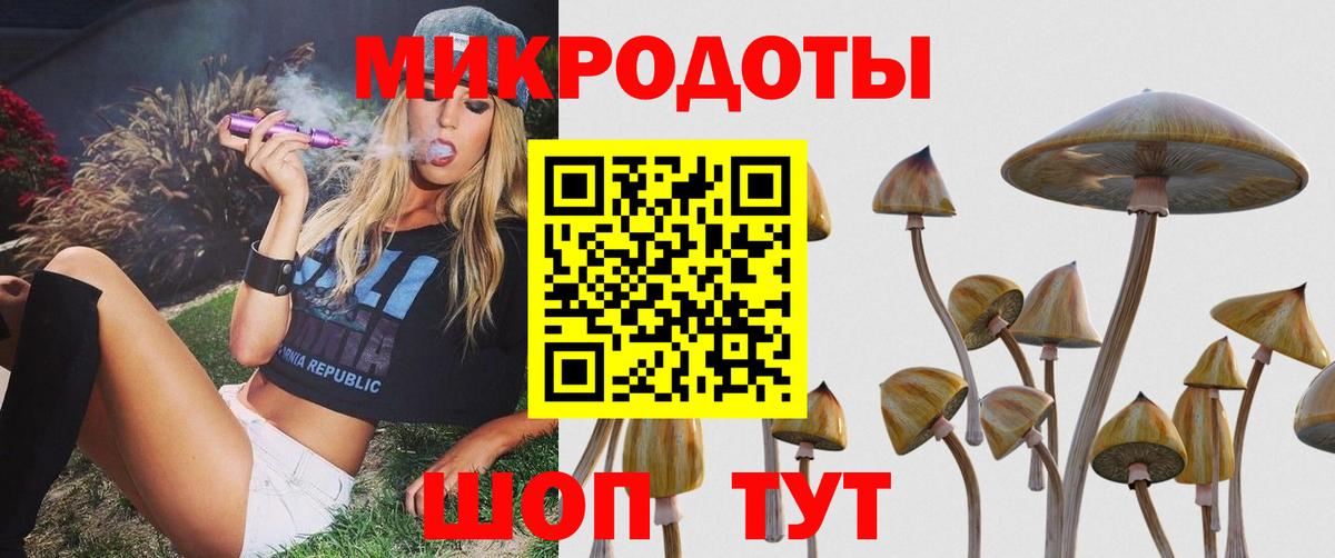 Раменское  Псилоцибиновые грибы Psilocybine cubensis  Вход с VPN 